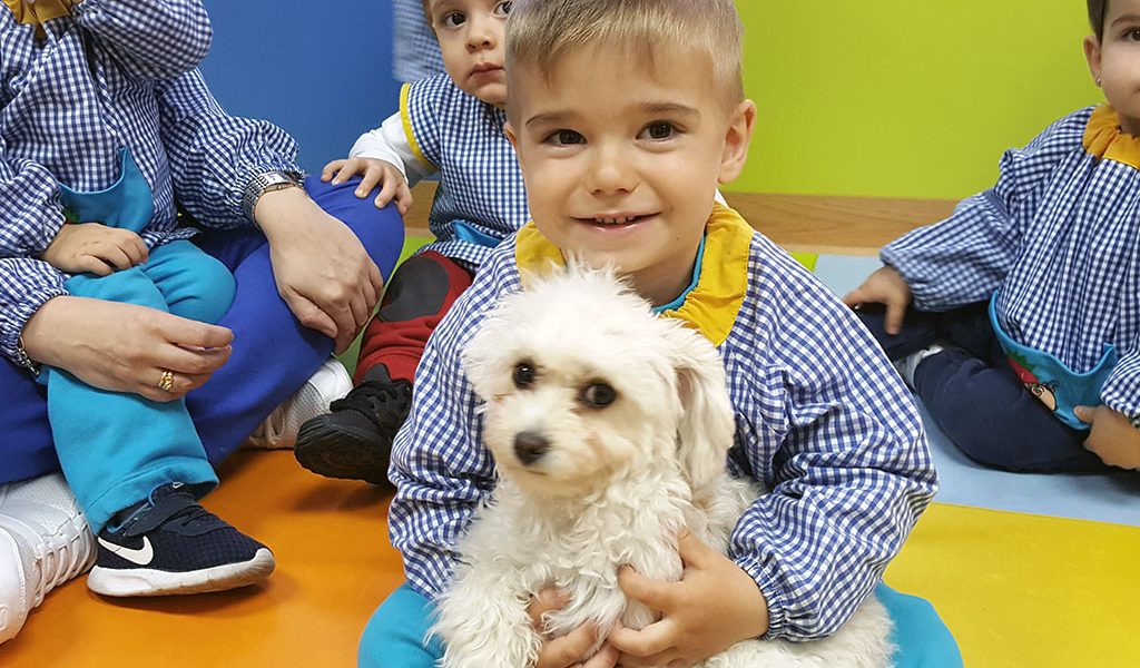 principios1 principios1